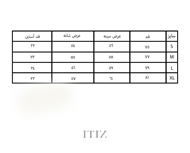 تصویر  تی شرت Liberty