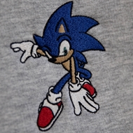 جزئیات گلدوزی کوچک جلو هودی Sonic ITIZ با دوخت دقیق و طراحی ارجینال